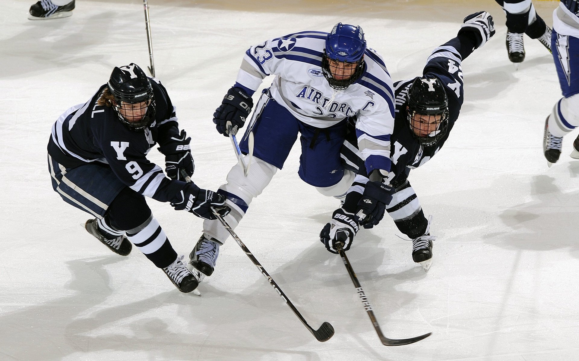 国家女篮青年梯队培养注重基础能力和战术意识双重提升,国青女篮队员